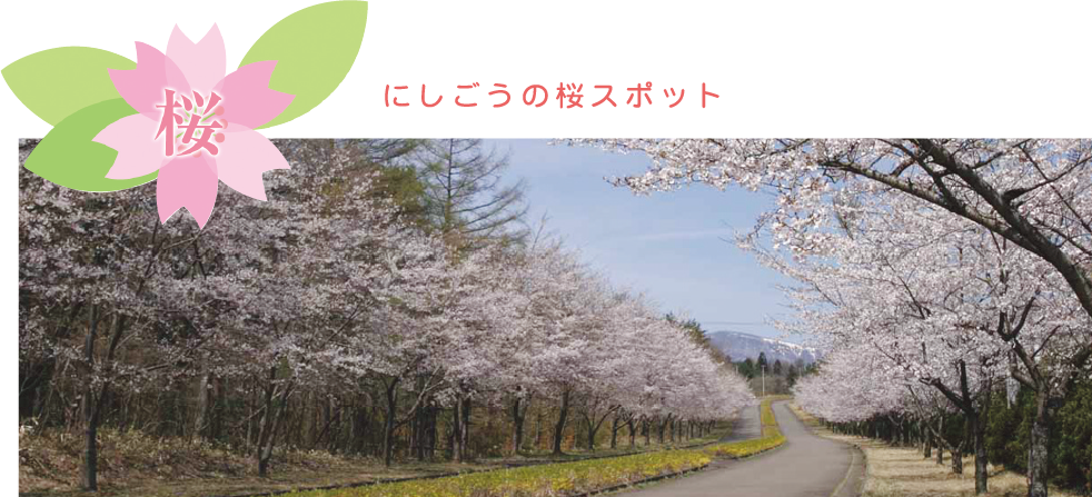 にしごう”桜”のスポット